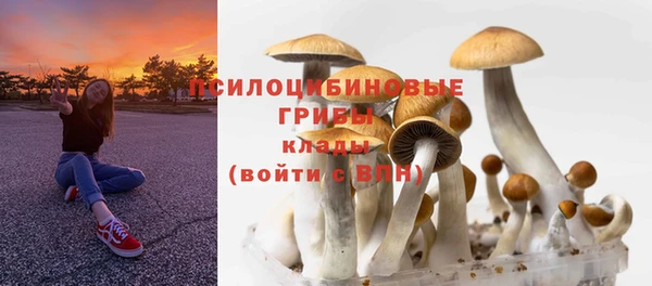 мескалин Медногорск