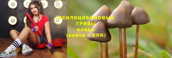 мескалин Медногорск