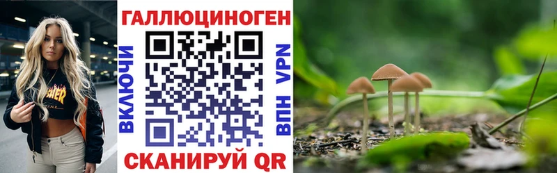 Псилоцибиновые грибы прущие грибы  ссылка на мегу ТОР  Мамадыш 