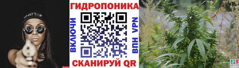 Шишки марихуана марихуана как найти Мамадыш